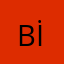 Barbaros İlgezdi