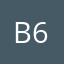 Bear 60