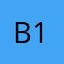 Beast mode 1302