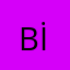 Bedir İstek