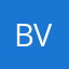 Bernardo Will V