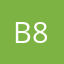 Bernd 80