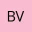Bertie Vink