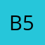 Bertini 59