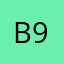 Best birdy 99