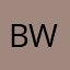 Bi W