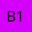 Bib 15