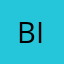 Bidhit
