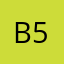 Big 5S