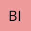 BigHorseMXY