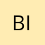 Bigj48315