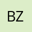 Bijan Z.