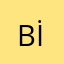 Bilgin Emlak ve İnşaat
