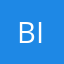 Bilo9.1