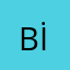 Birol İlgör