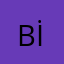 Birsen İnan
