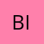 Bishopgrey1312