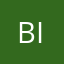 BitsnPixs