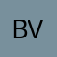 Bivin Thomas Varghese
