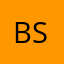 Biz Sal
