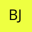 Bjdj10