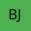 Bjpilot