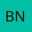 Bnbinsp