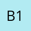 Bobby singer 12'