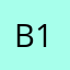 Boleslav 13