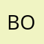 Bollockspaddy