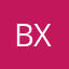 Border xing