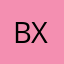Bosch Xie