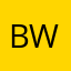 Brady L Waters