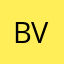 Brady Vas