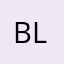 Bram Leenen