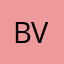 Bram V.