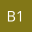 Brana 1111