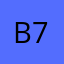 Brant 70