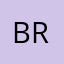 Bravekid