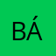 Brayam Álvarez