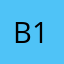 Bri Bri 1021