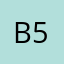 Brian No. 5