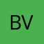 Brian Vinicius