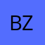 Brian Z.