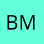 Bridgette m