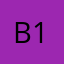 Brina 12