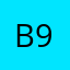 Broun 951