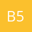 Brown cat 55
