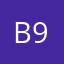 Bryan 911