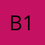 Bsh-1